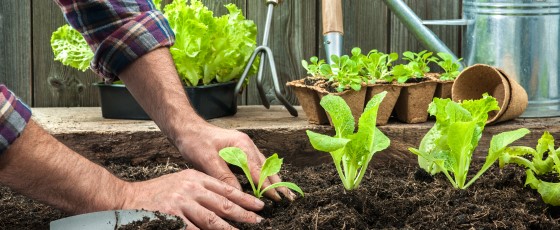 Fußmatten online bestellen - meingartencenter24.de | meingartencenter24.de  - Garten Online Shop & Weber Grill Store